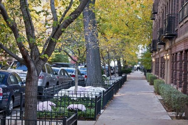 City Central - Parkway fence with Landscaping