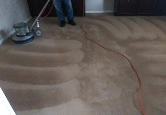 Carpet Shampoo