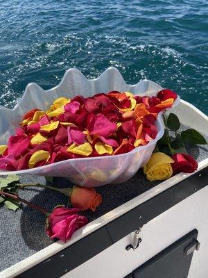 Rose petals in a shell container on boat