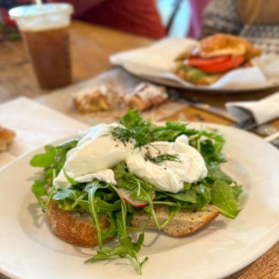 Avocado tartine