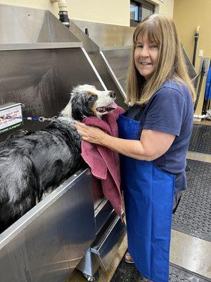 Aussie Charlie enjoying his dog wash at the new 4 station self serve wash bay's in Arroyo Grande Lemos