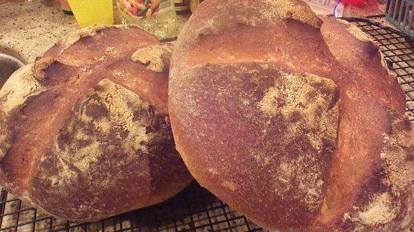 Crusty Artisan Hearth Bread