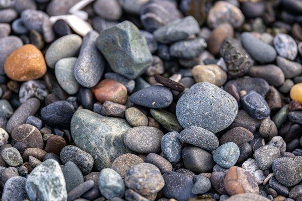 Dungeness Spit Trail