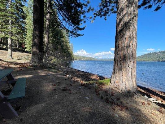 Shoreline Park - a few picnic tables available