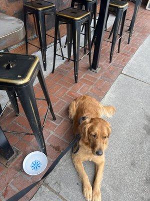 Outdoor seating, where I can people watch and get scratches and pets.