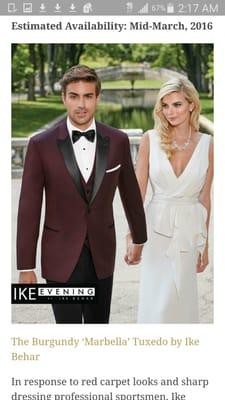 Burgundy Wine Tuxedo for Rental or Purchase