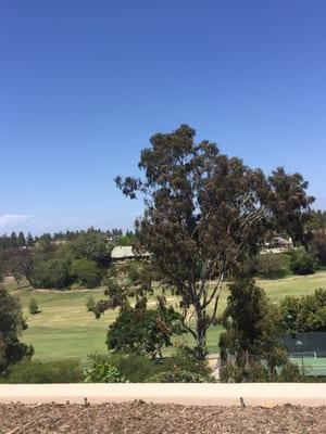 1st tee & 18th green