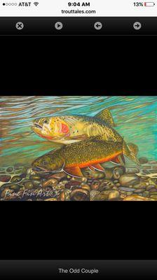 Walter Foster does commission fly fishing memories..