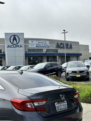 Gold Coast Acura