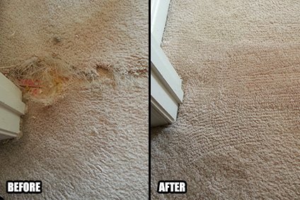 Carpet Repair in Calabasas