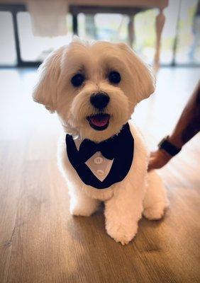 Ready for Prom after his Spaw Day at our salon!