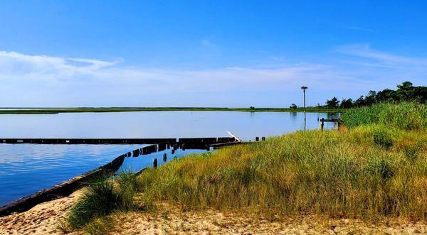 Half of the view, Osprey Point