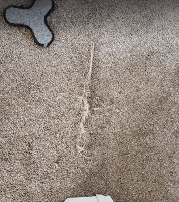 Carpet 911 - Boise Carpet Cleaning & Repair