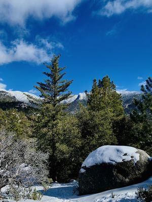 Idyllwild Nature Center