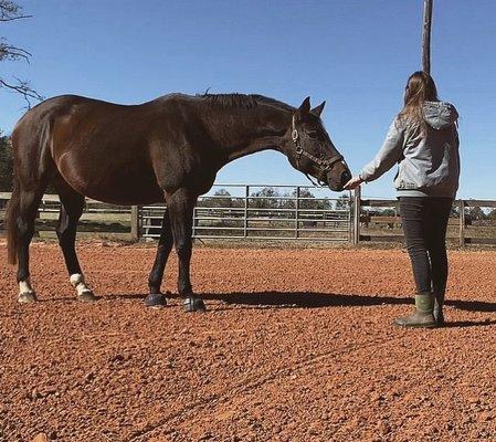 11/21. My horse whose lived here for 2+ years