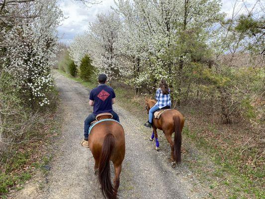 Handy Acres Farm