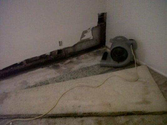 Let Us Help You Restore Your Carpets to New!