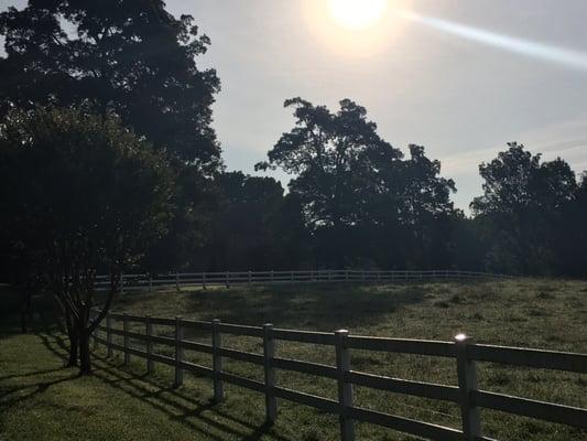 Morning at the main house