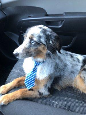 Such a cute Blue tie!