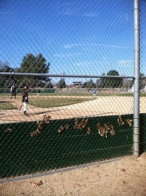 One of the baseball fields. They are labeled A through F.