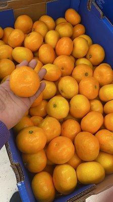 Mandarine