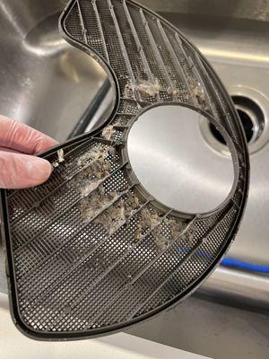 Dishwasher filter, lots of pet hair and gunk