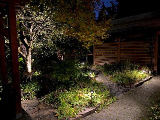 Front yard pathway lights!