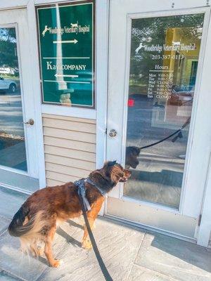 Woodbridge Veterinary Hospital