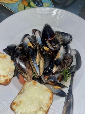 New Zealand Mussels