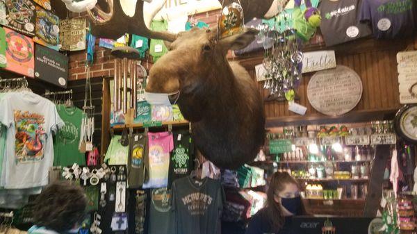 They've even got post cards behind the register and check out the moose!