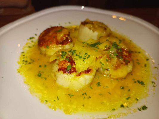 Seared Scallops