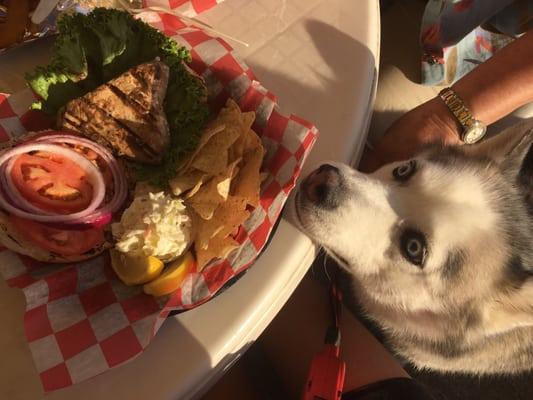 Dogs are allowed to join you in their outside seating area.