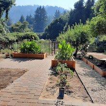 Patio and gravel walkway frames flower planters