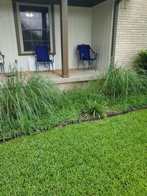 Flower bed in front of house, before clean out