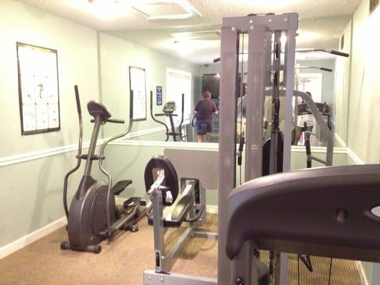 Two treadmills, elliptical (broken), & two weight machines.