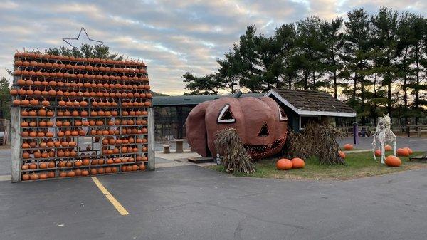 Peck's Farm Market East