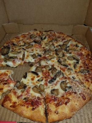 Mushroom pizza