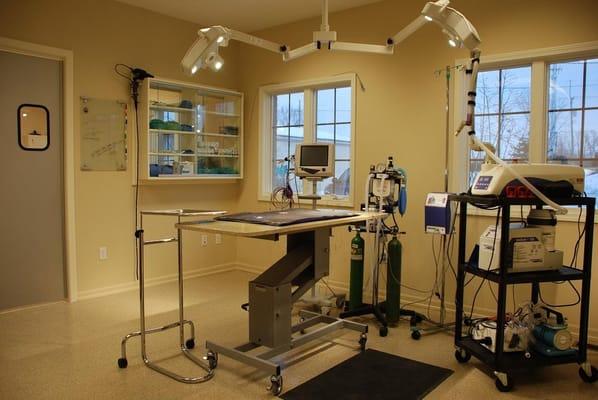 Surgical Suite