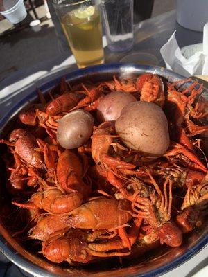 Crawfish!