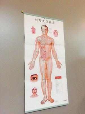 This is Chinese cupping also have English letter.we can learn more about us body