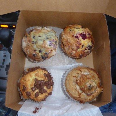 Quartet of muffins: blueberry wild berry, chocolate coffee cake, banana.