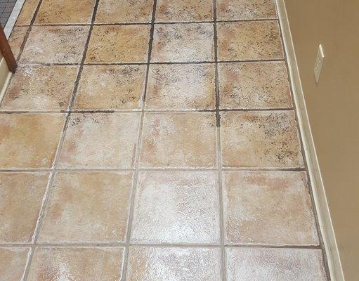 Tile Cleaning Before and After