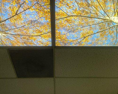 Picture of the sky on the ceiling....hypnotic, relaxing.