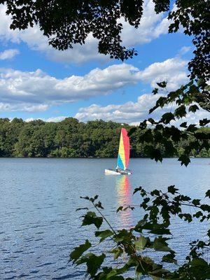 lake cochituate