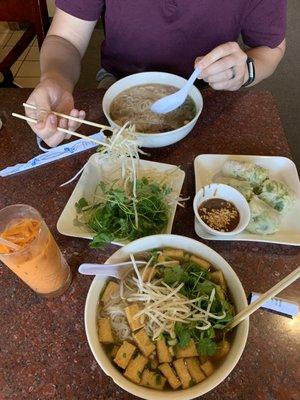 Vegetarian pho, spring rolls & super bowl