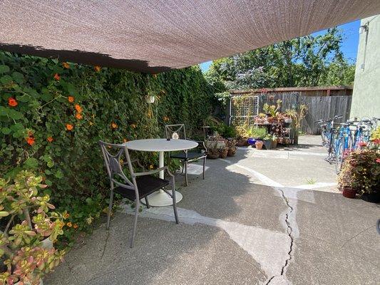 2910 Fulton Street - Shared Backyard