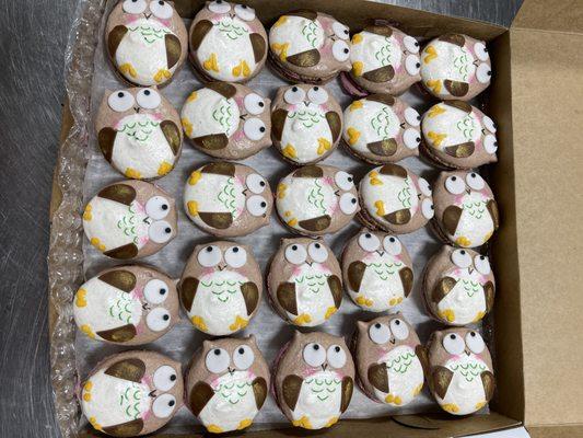 Owl macaron