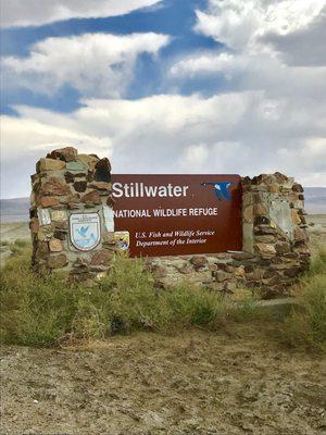 @ Stillwater National Wildlife Refuge - 7/26/20