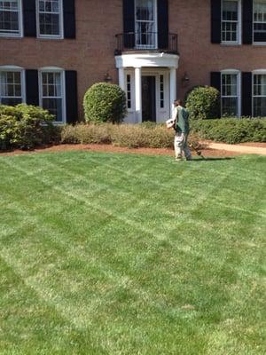 Lawn Mowing in McLean