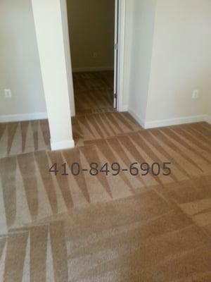 Carpet after Carpet Cleaning